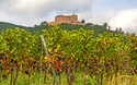 Hambacher Schloss an der Deutschen Weinstrasse