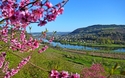 Wasserbilligerbrück an der Mosel