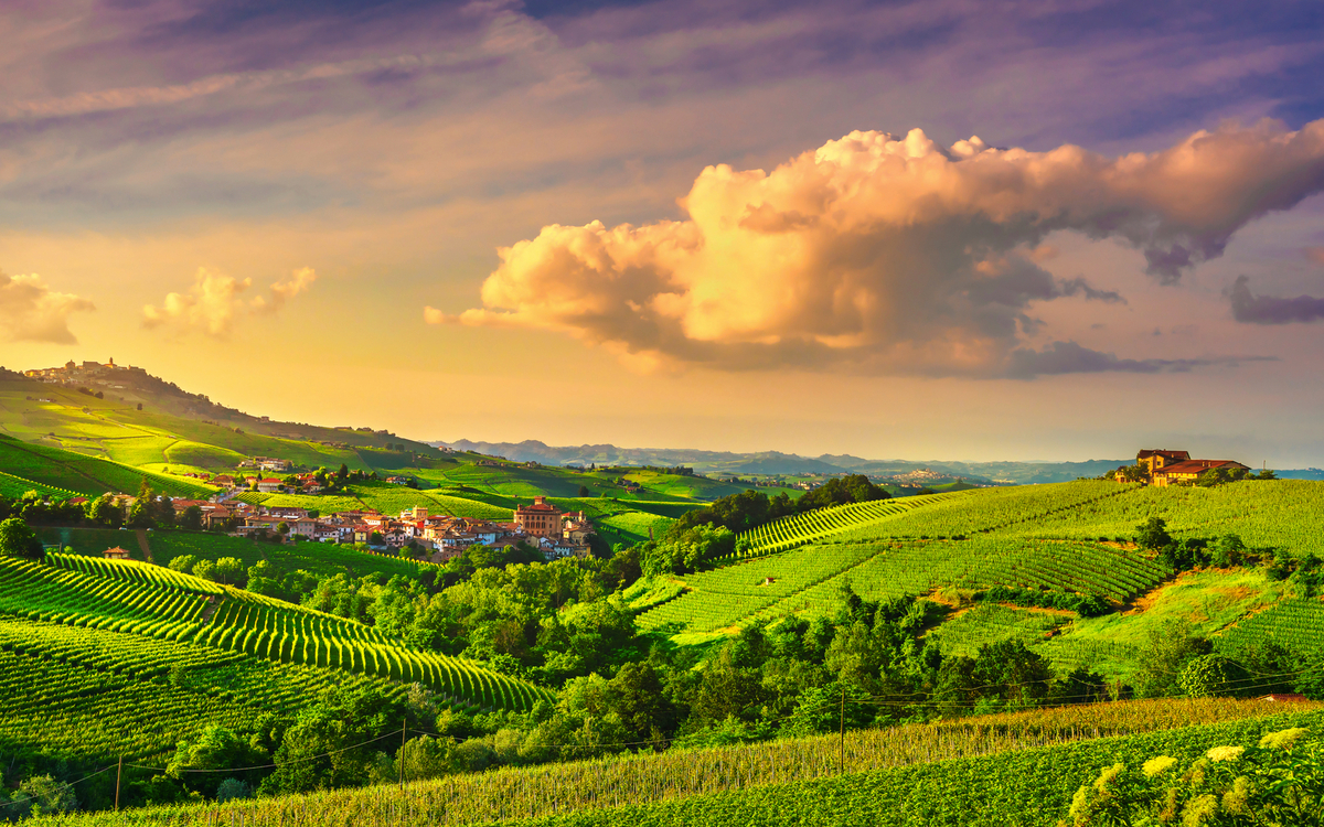 Blick auf die Weinberge der Langhe